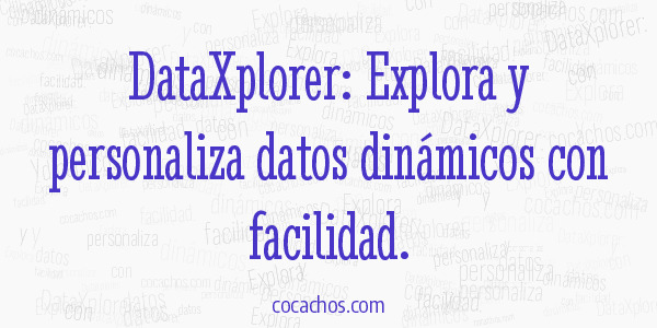 DataXplorer: Explora y personaliza datos dinámicos con facilidad.